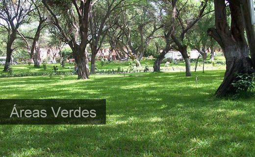 Áreas verdes